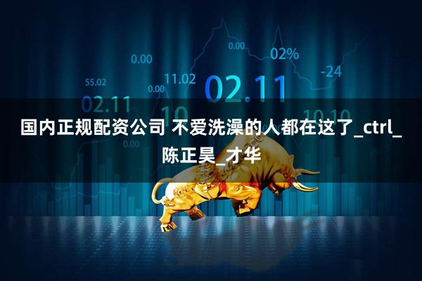 国内正规配资公司 不爱洗澡的人都在这了_ctrl_陈正昊_才华
