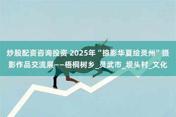 炒股配资咨询投资 2025年“掠影华夏绘灵州”摄影作品交流展——梧桐树乡_灵武市_坝头村_文化